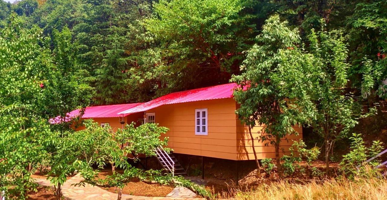 Aaroham Resort, Shimla Exterior foto